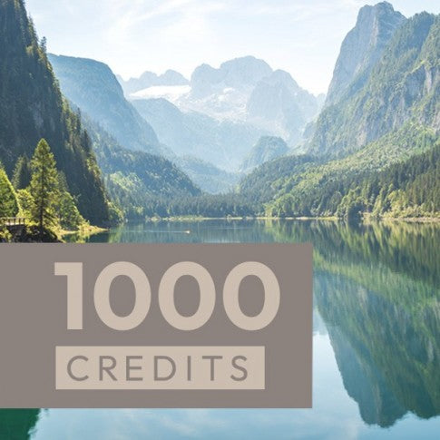 Wertgutschein 1000 Credits