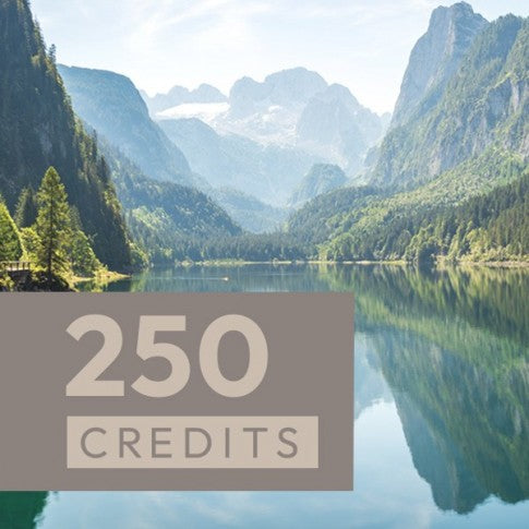 Wertgutschein 250 Credits